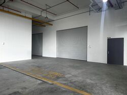 Ct Foodnex (D25), Factory #497817781
